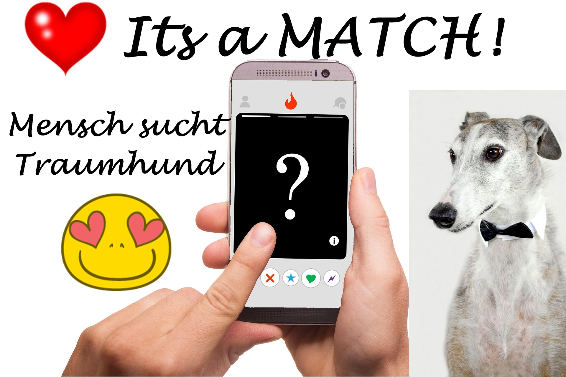 Its a Match! Welcher Hund passt zu mir !? Auswahl Hund adoptieren - Dating HunD2
